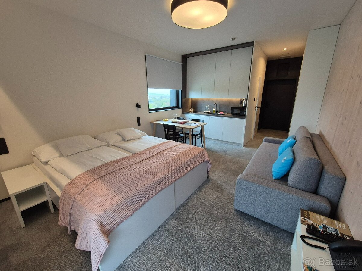 Demänová-Apartmán s pravidelným výnosom - 3