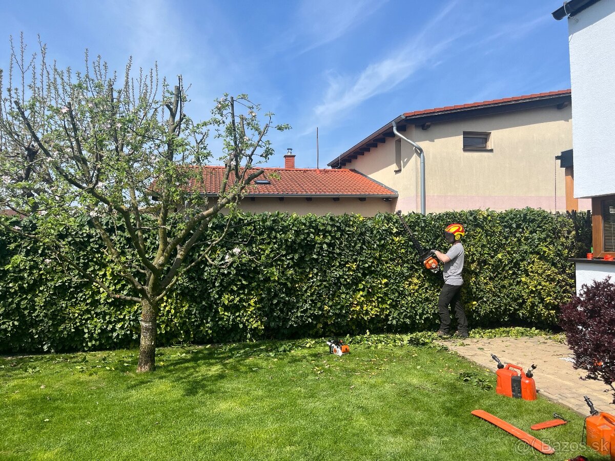 Arboristika - záhrada - dom - 3
