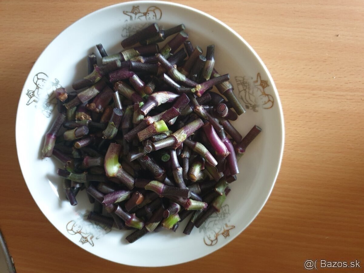 Kalísia voňavá tinktúra - 60 % lieh - extra silná - 3