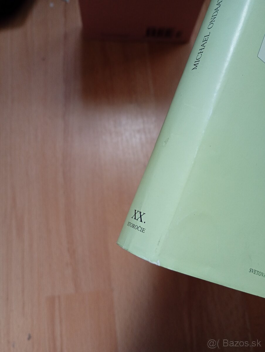 Ondaatje, M. - Anglický pacient - 3