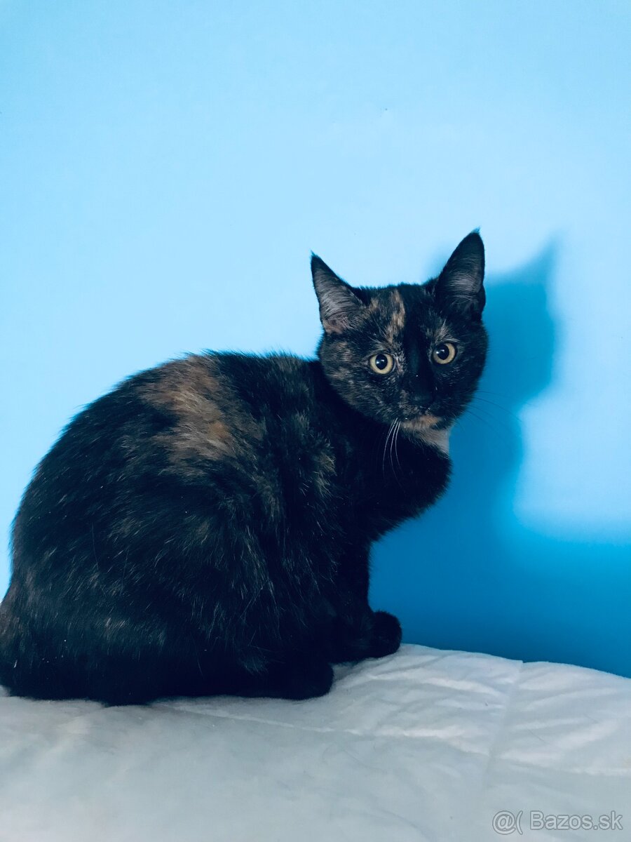 OXANKA SI HĽADÁ DOMOV VO VNÚTRI - 3