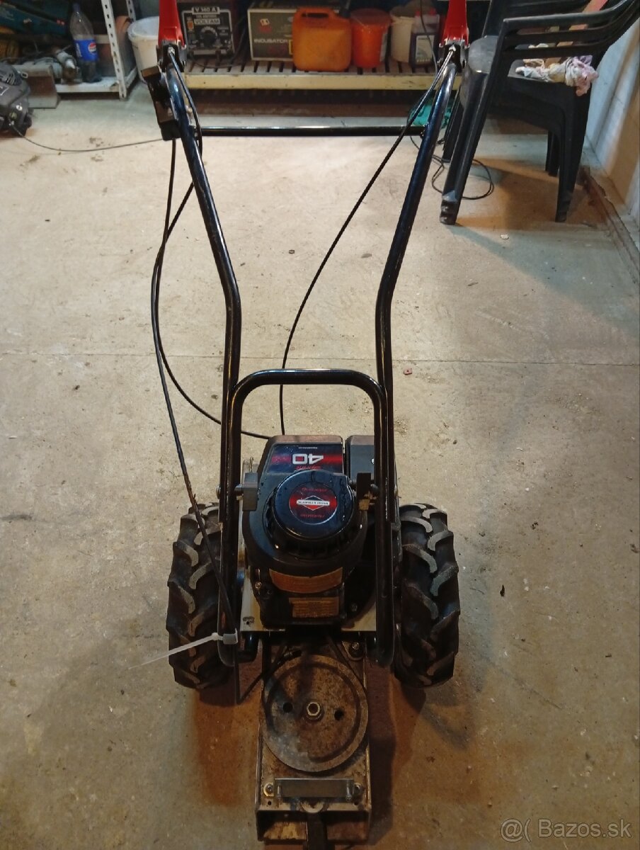 Lištova kosacka - 3