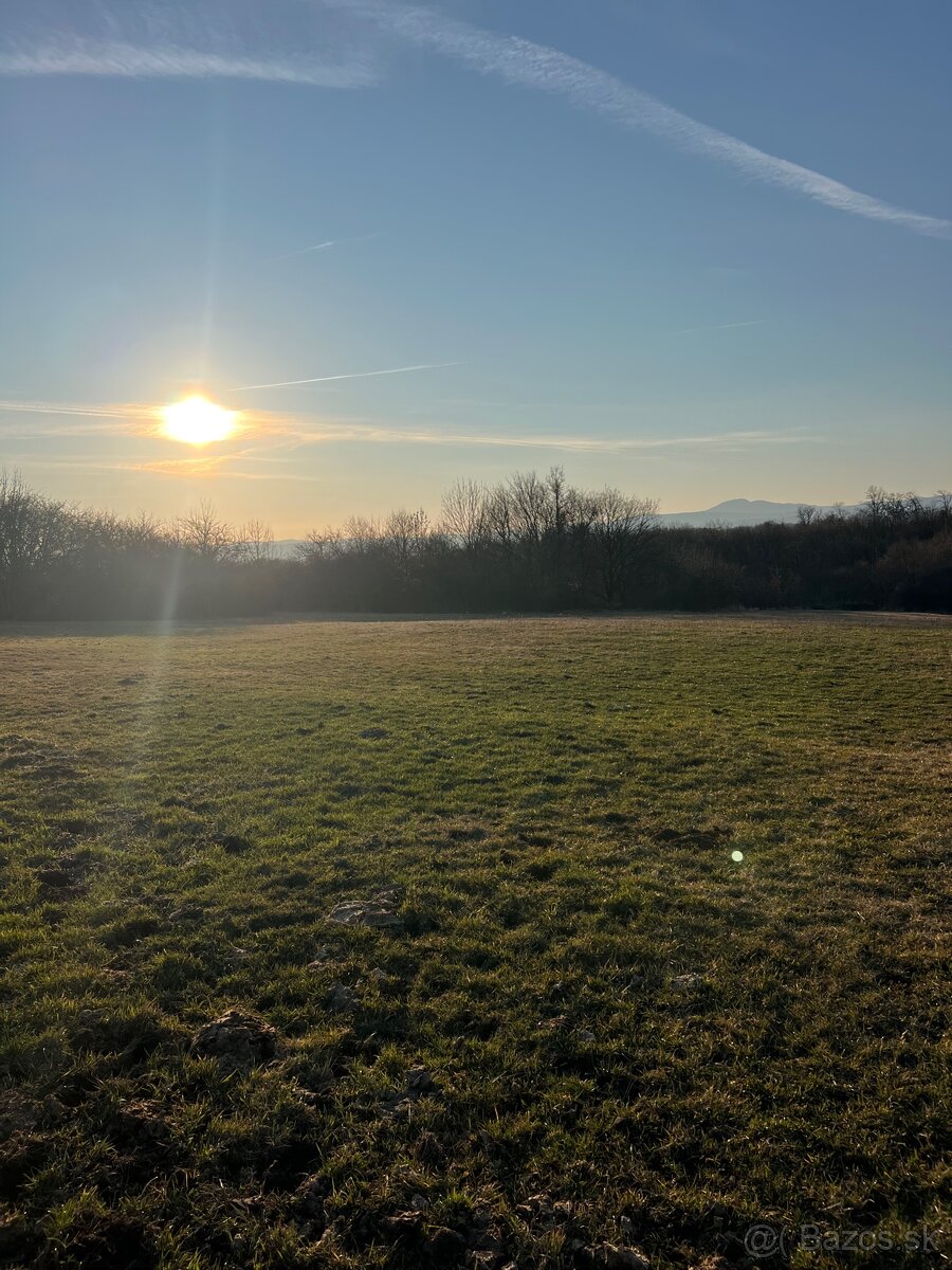 Pastvinové ustajnenie - 3