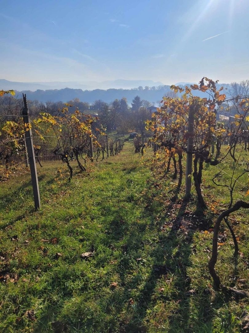 Ponúkame na predaj pozemok na Božom kopci v Štúrove - 3
