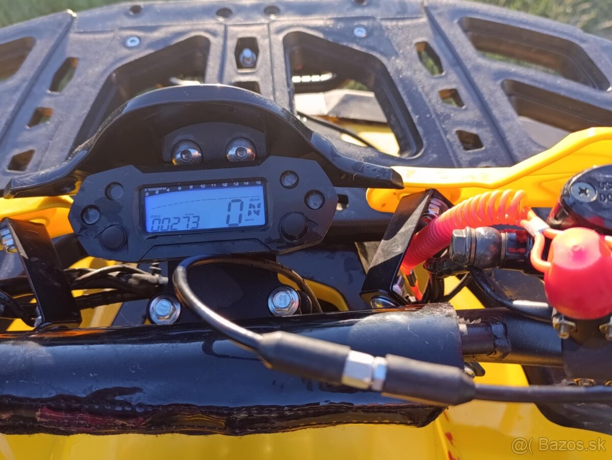 Piranha Veyron