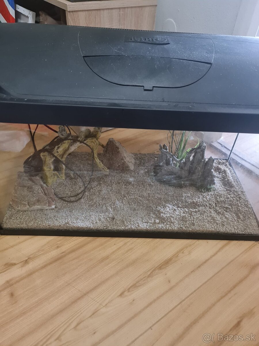 Akvárium - 3