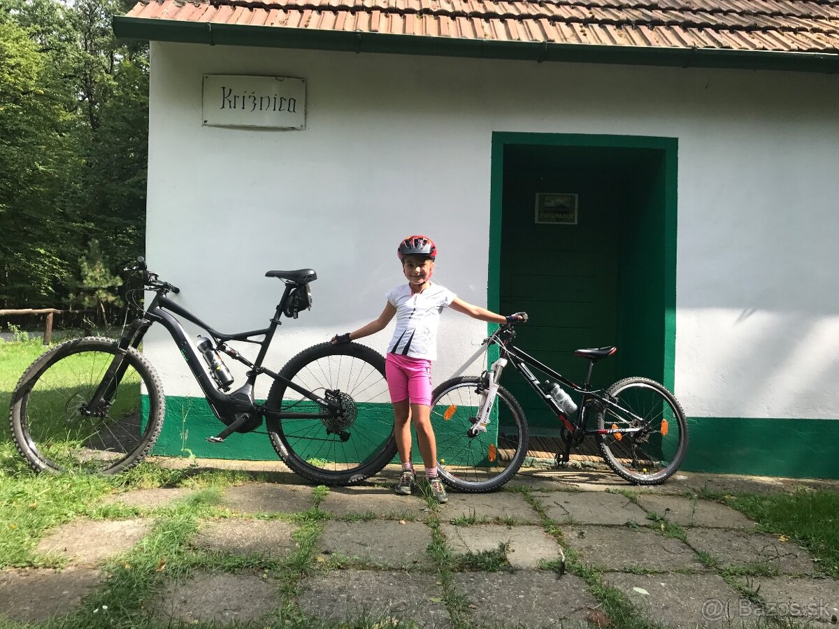 Specialized TURBO LEVO FSR 29 xl - 3