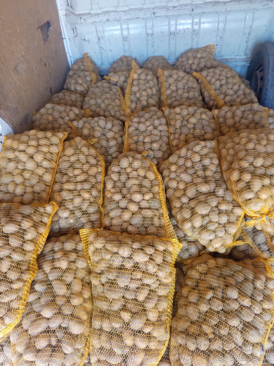 Sadbové zemiaky - 3