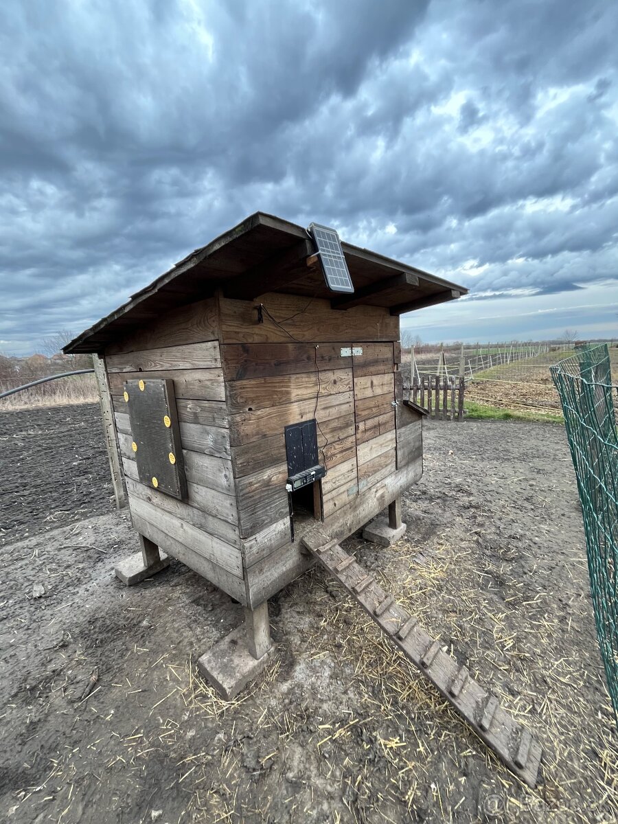 Kurín pre sliepky - 3