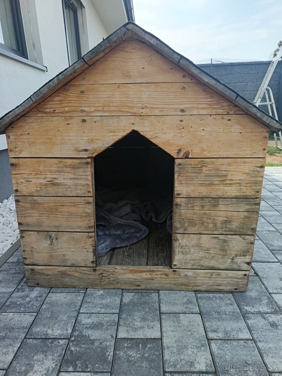 Psia búda - 3
