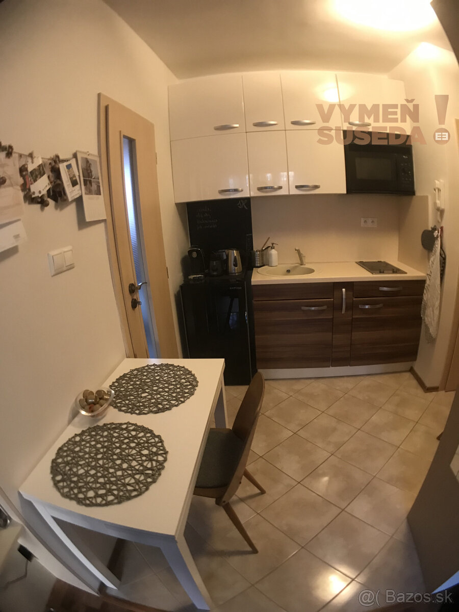 VYMEŇ SUSEDA - VÝNIMOČNÝ 1 IZB. KOMPLETNE ZREKONŠTRUOVANÝ, - 3