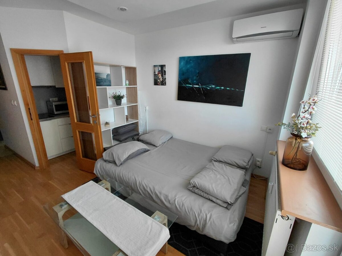 DLHODOBÝ PRENÁJOM / GARSÓNKA / SENICA / - 3