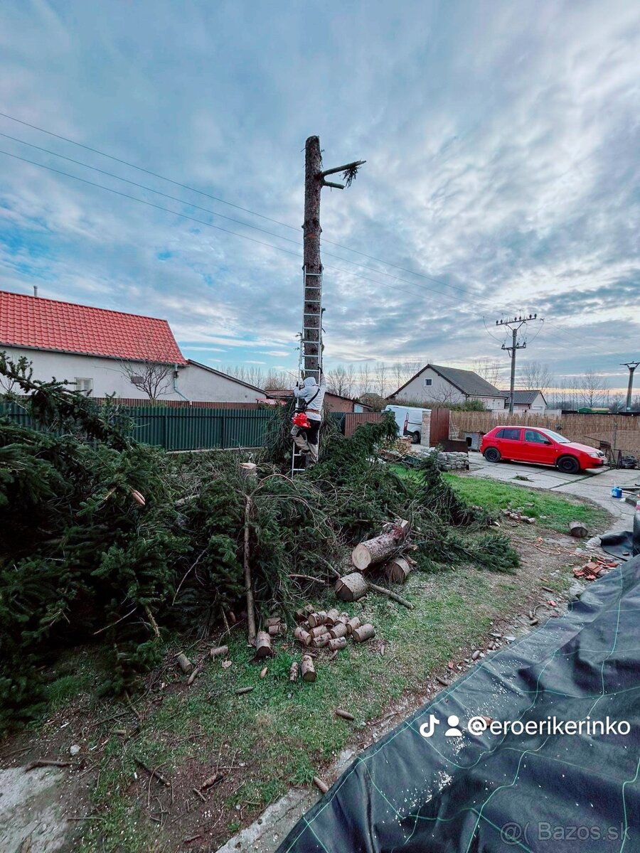 PONÚKAM OREZAVANIE A VÝRUB STROMOV - 3