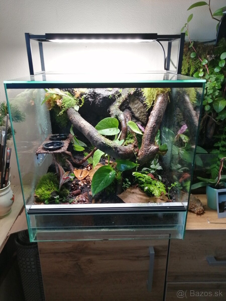Terárium /akvárium - 3