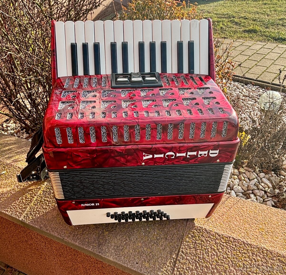 Delicia Junior 21 - 3