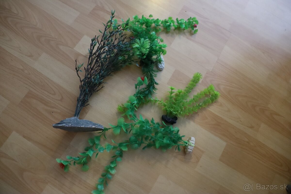 🐠 Kompletné akvárium 60x30x30 – ryby, filter, rastliny, vše - 3