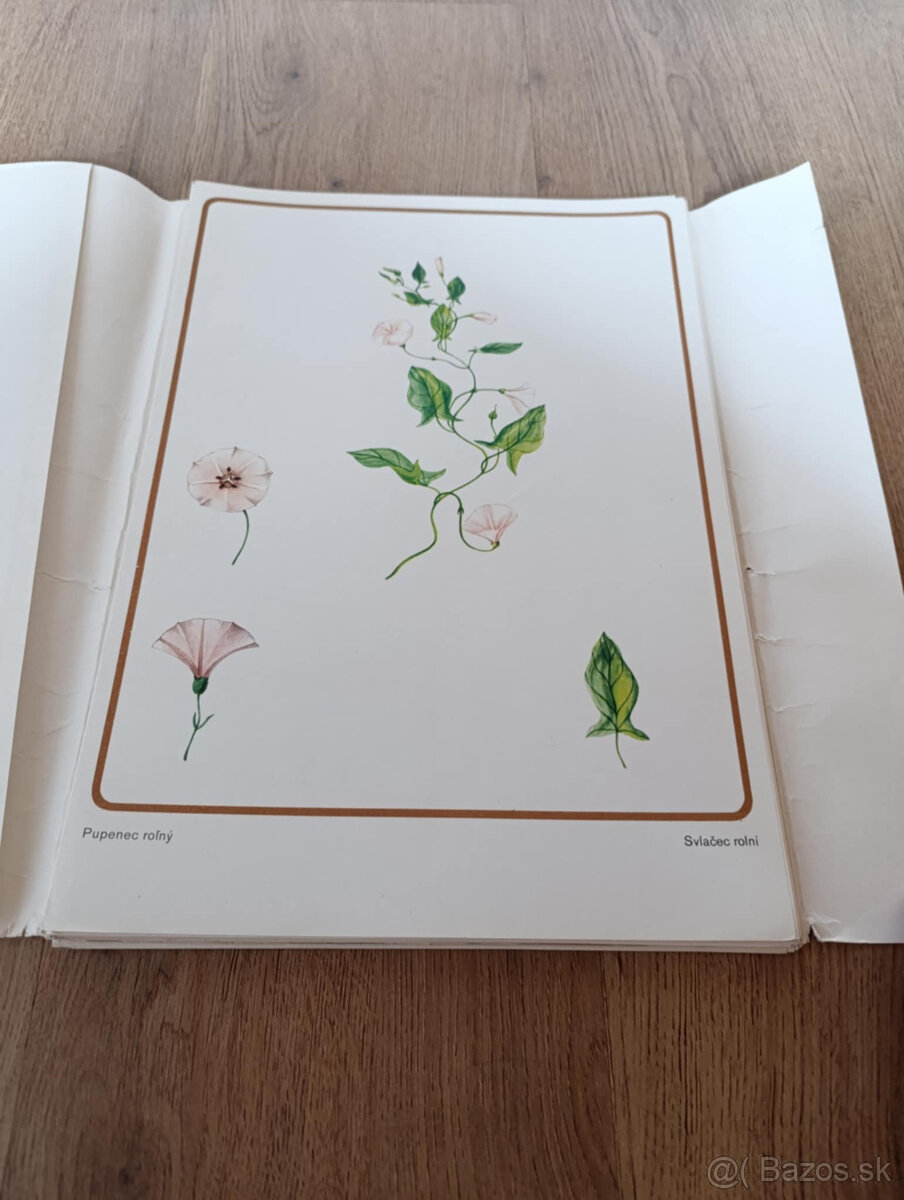 Staré školské pomôcky - 3