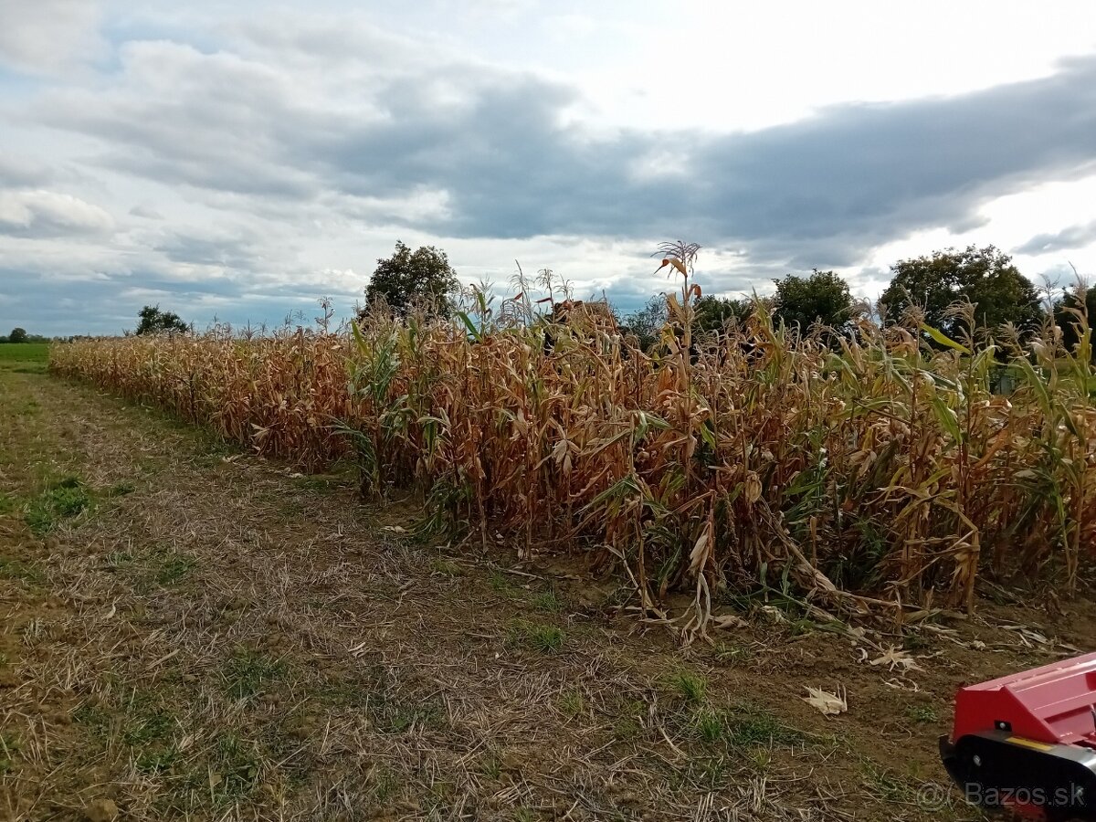 MULCOVANIE - KOSENIE - 3