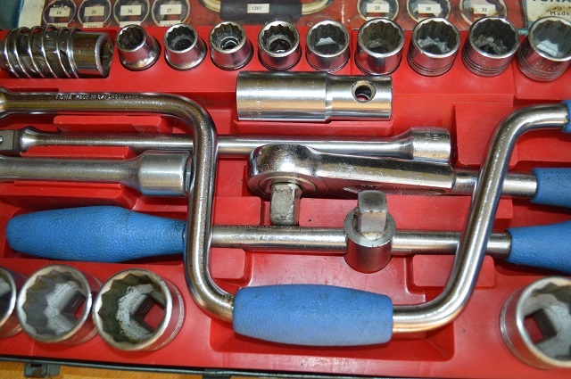 predam - exportna gola sada TONA - 3