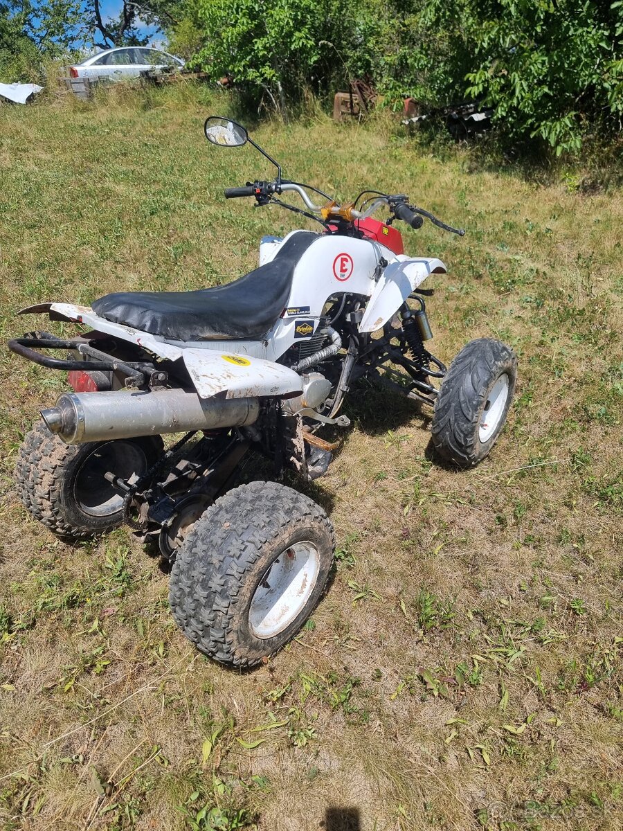 Predam Bashan 250cc