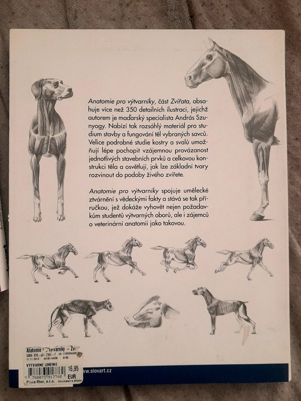 Anatomie pro vytvarniky - 3