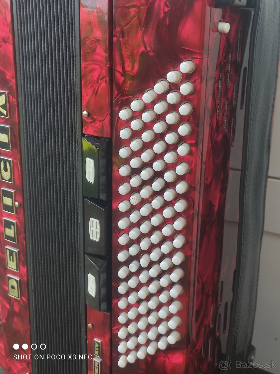 Delicia Carmen XIV 96 bas.11 + 3 registre - 3