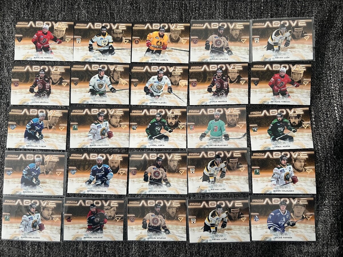 Tipos SHL Sportzoo - 3