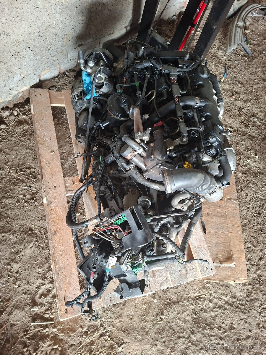 Berlingo, partner - 3