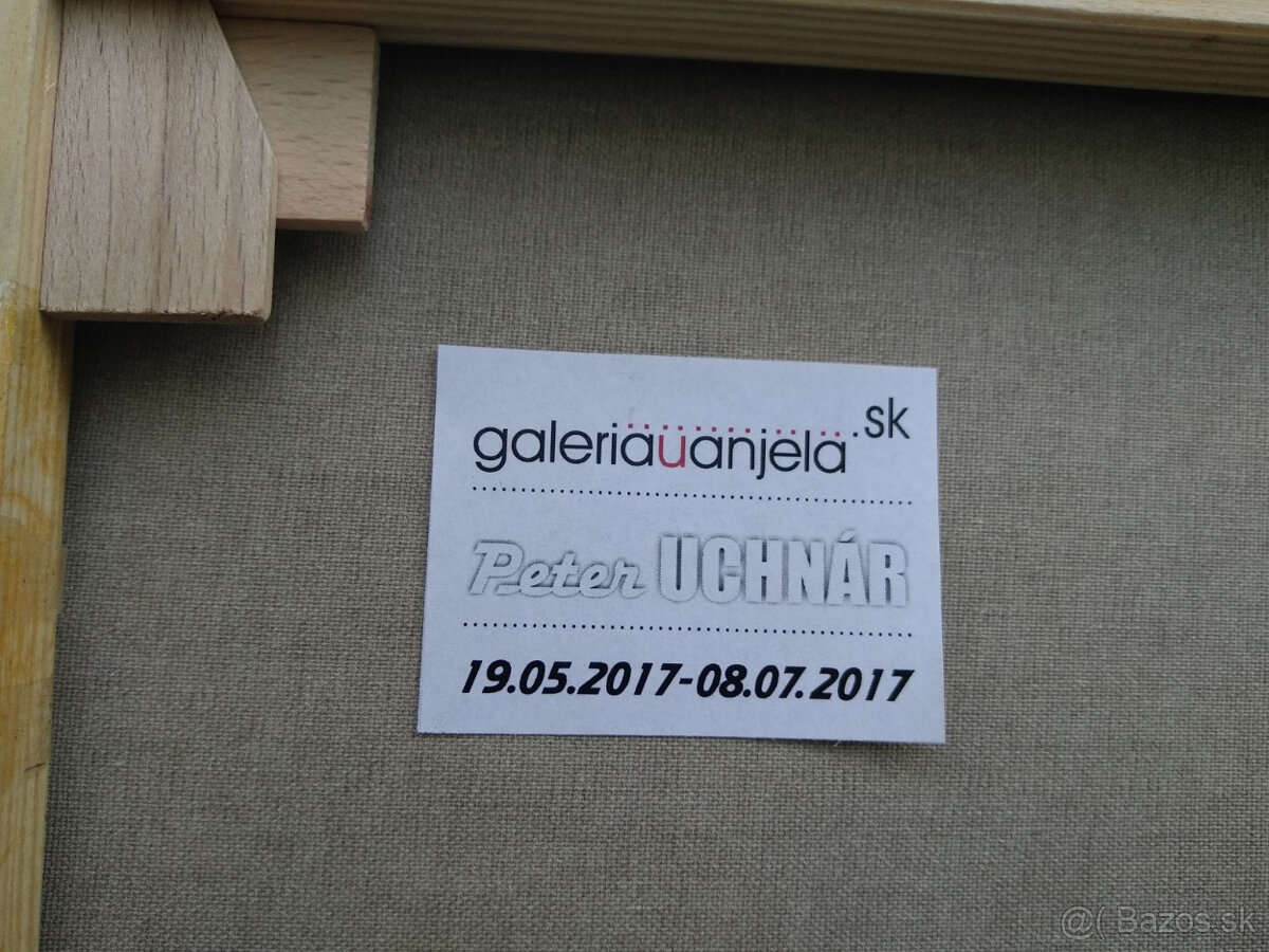 Peter Uchnár - 3