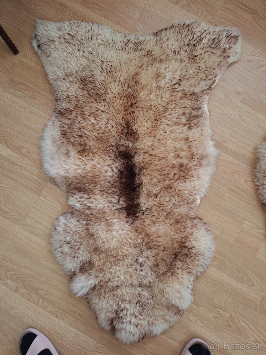 Ovčia kožušina - 3