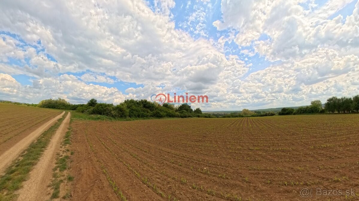 Predaj vinice a pozemku pri Zlatých Moravciach – Dolné Vinic - 3