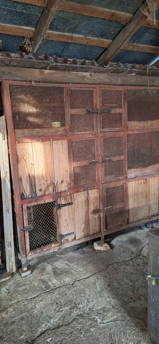 Predam zajačnik. - 3