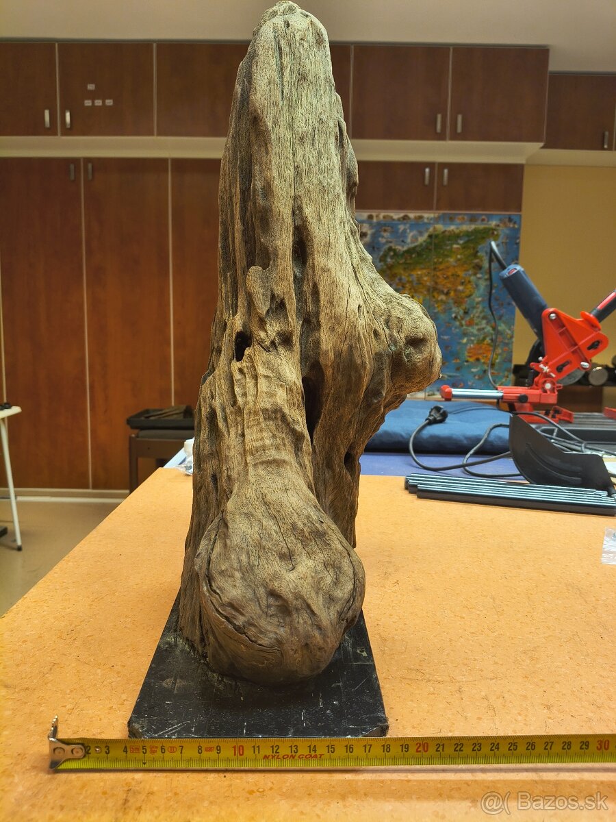 koreň do akvária driftwood - 3