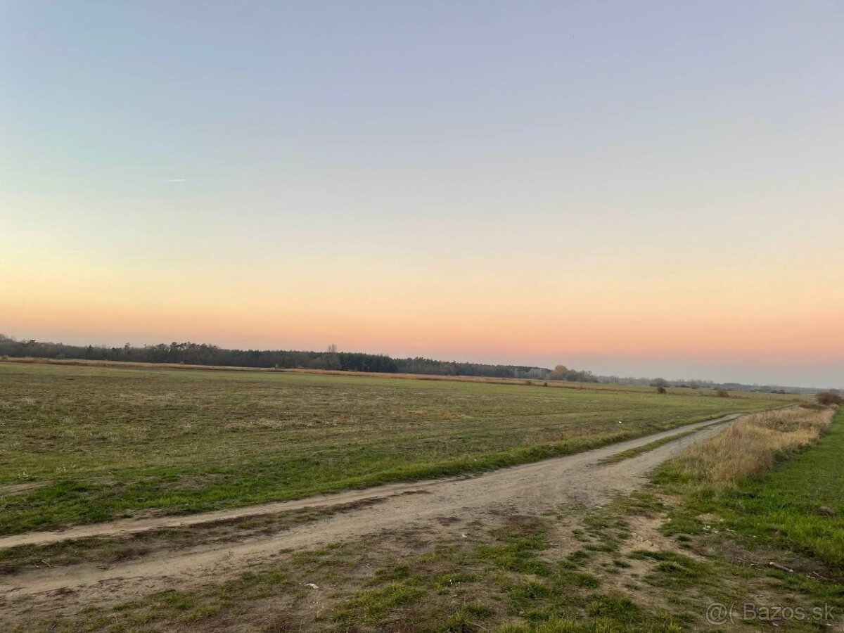 Veľký Pozemok 45 172 m² pri Malých Levároch - 3