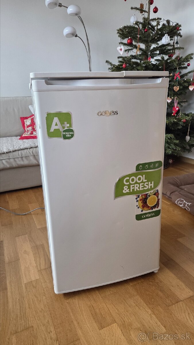 Predam chladnicku s mraznickou - 3