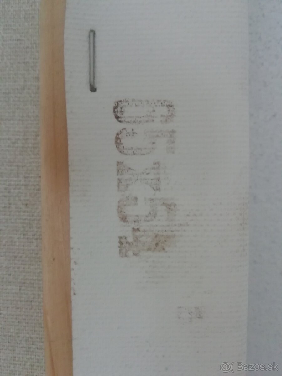 Muz s fajkou, obraz. - 3