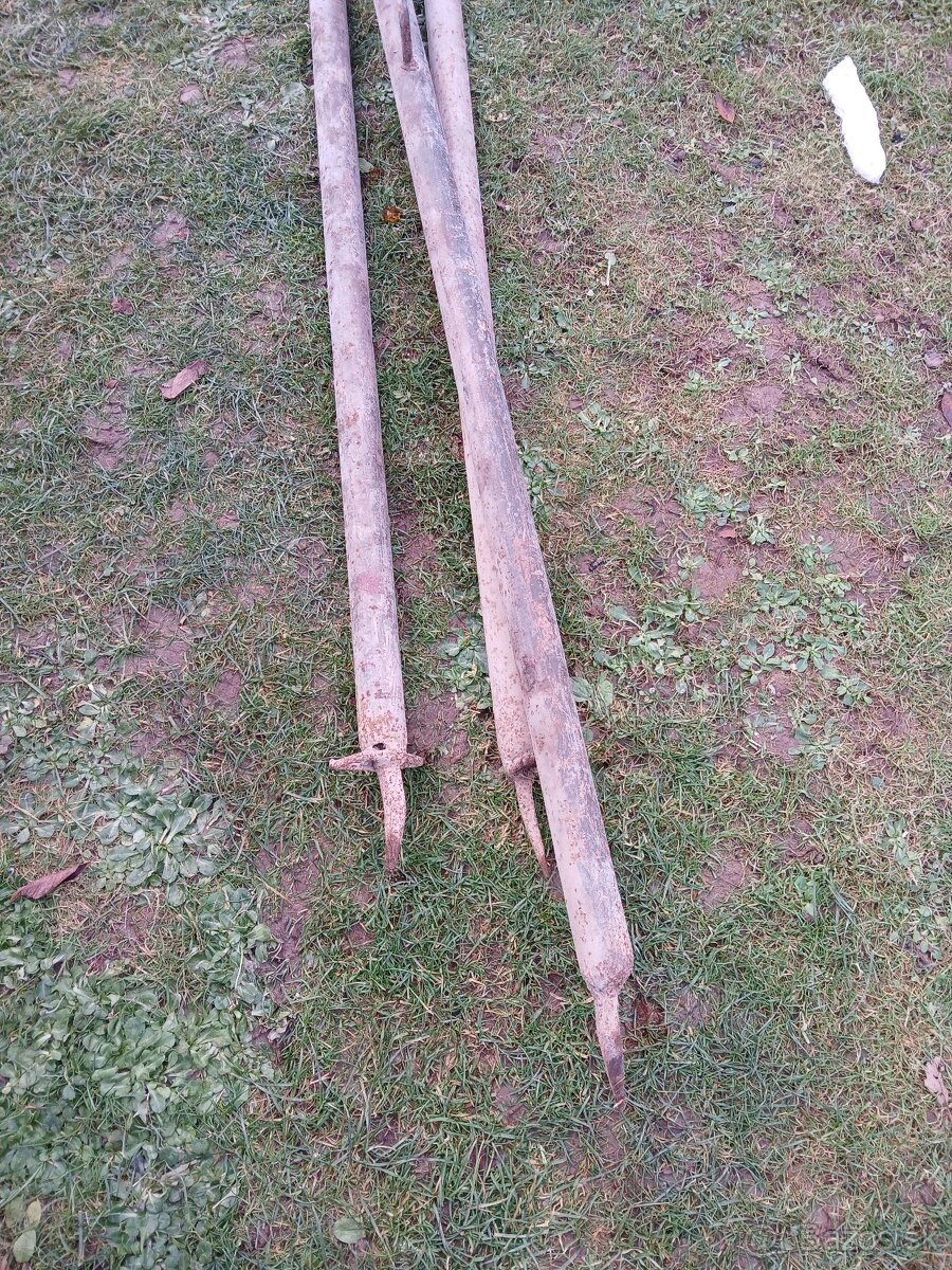 Trojnožka na zabijačku - 3