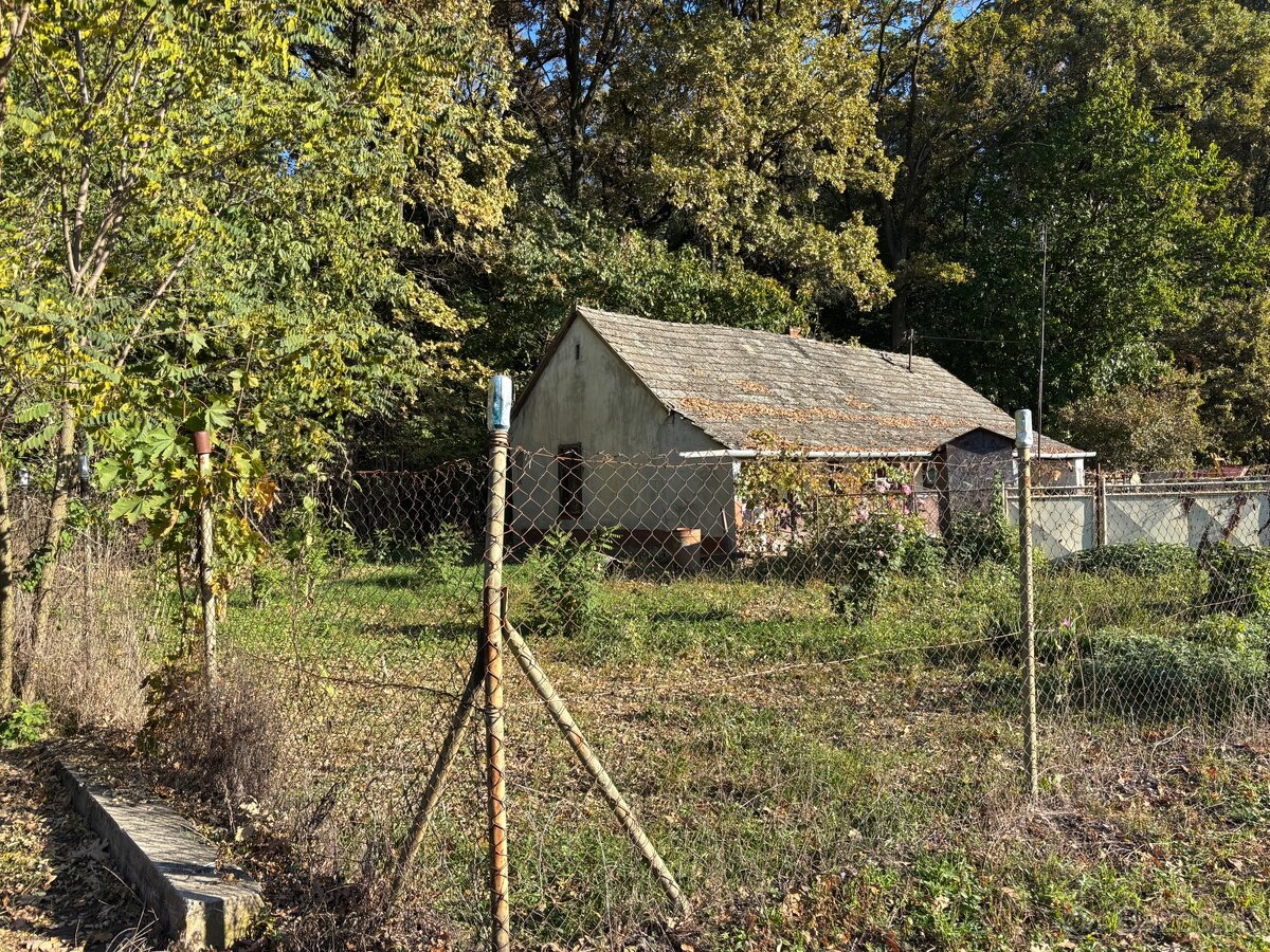 Predám dom pod lesom - 3