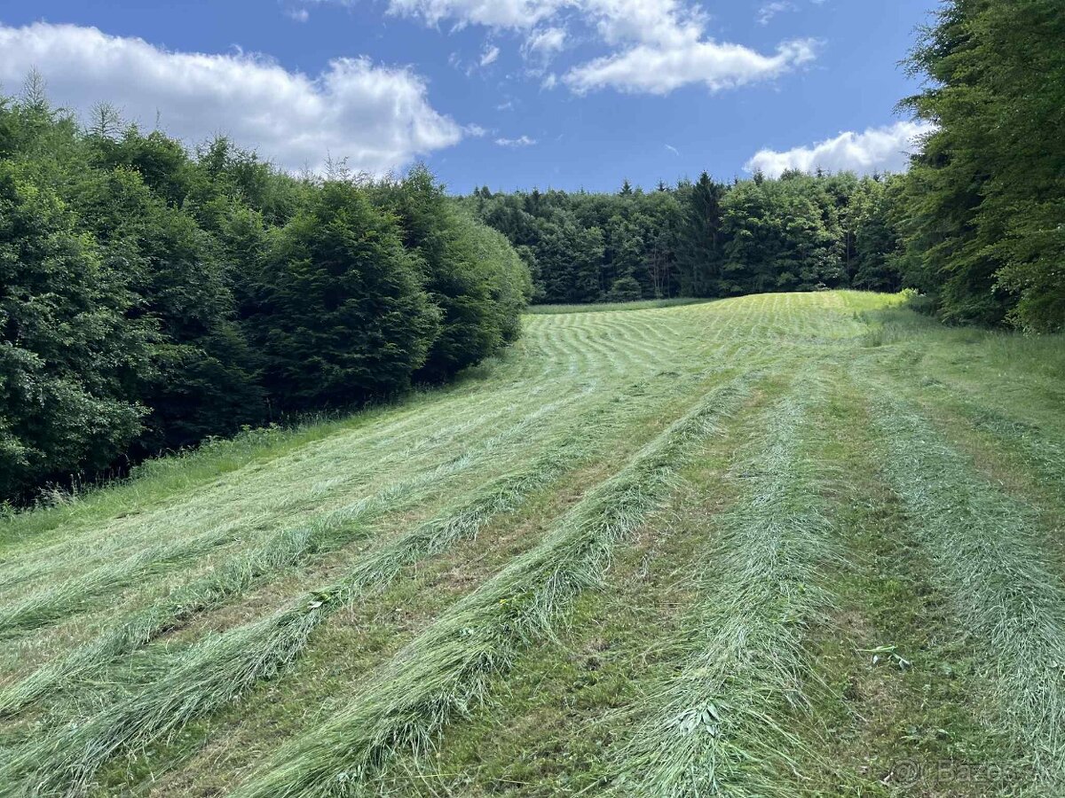 Dvojbubnová kosa 165 - 3