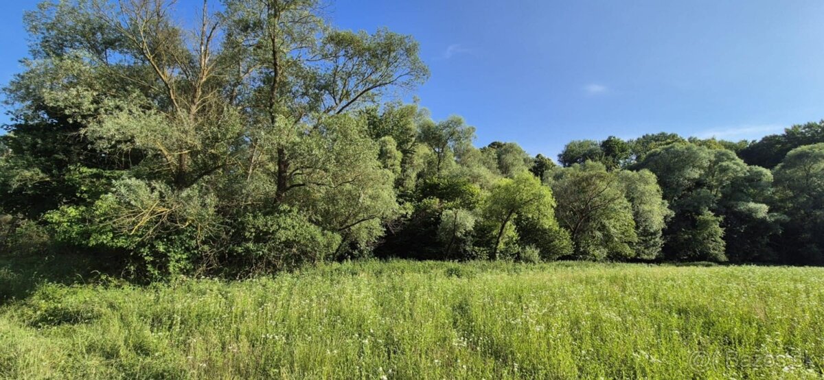 Predaj pozemku 5157 m² – Komárov, okres Bardejov - 3