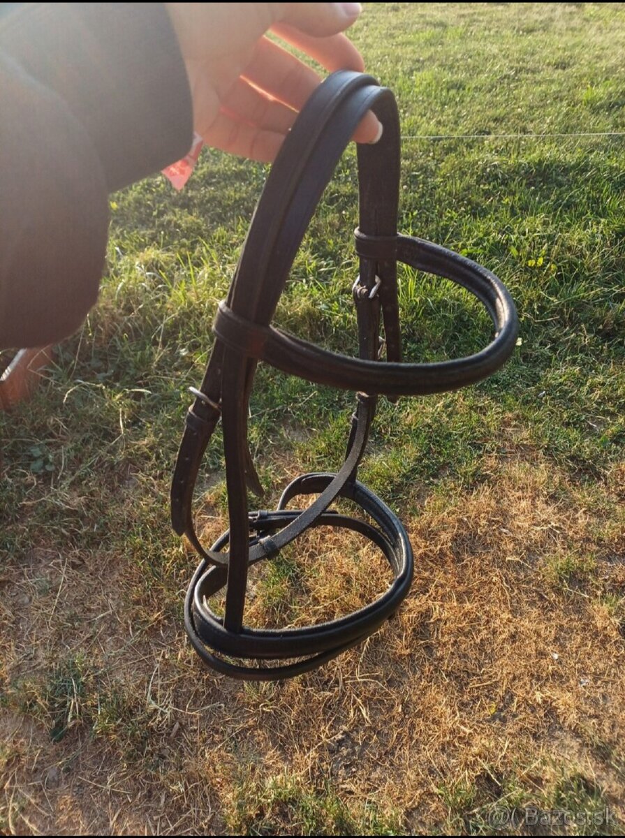 Kentaur, Equiline, F.R.A... - 3