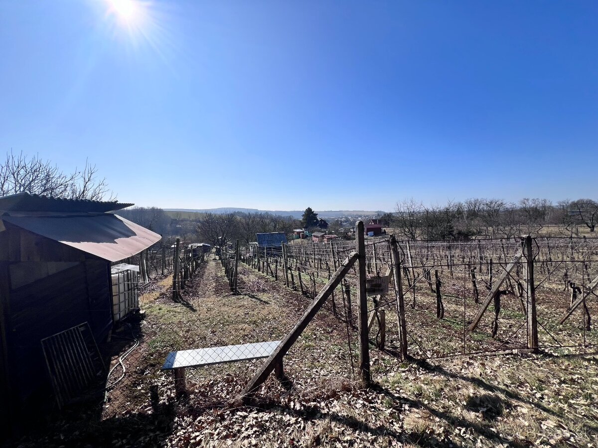 Záhrada Čankov (Levice) - 3
