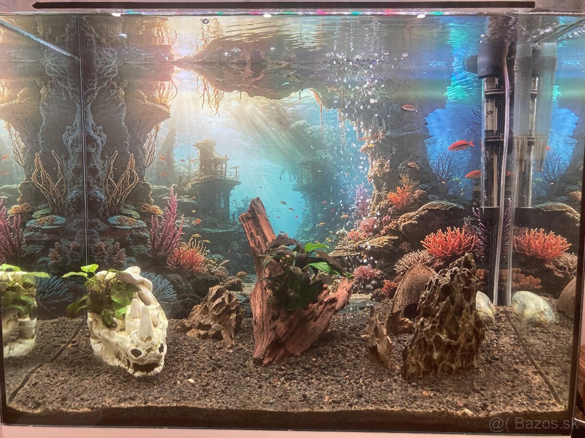 Zariadené akvárium 75l - 3
