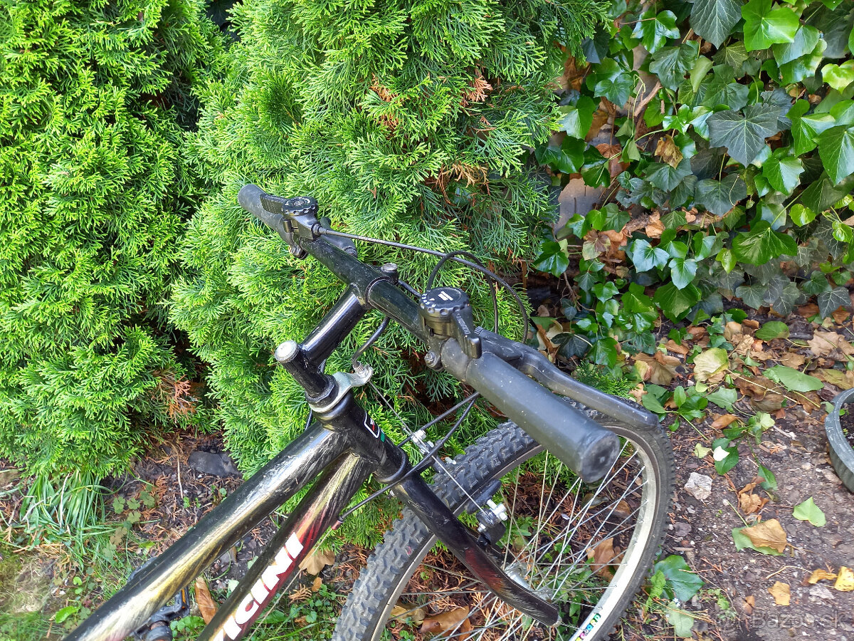 bicykel VICINI - 3