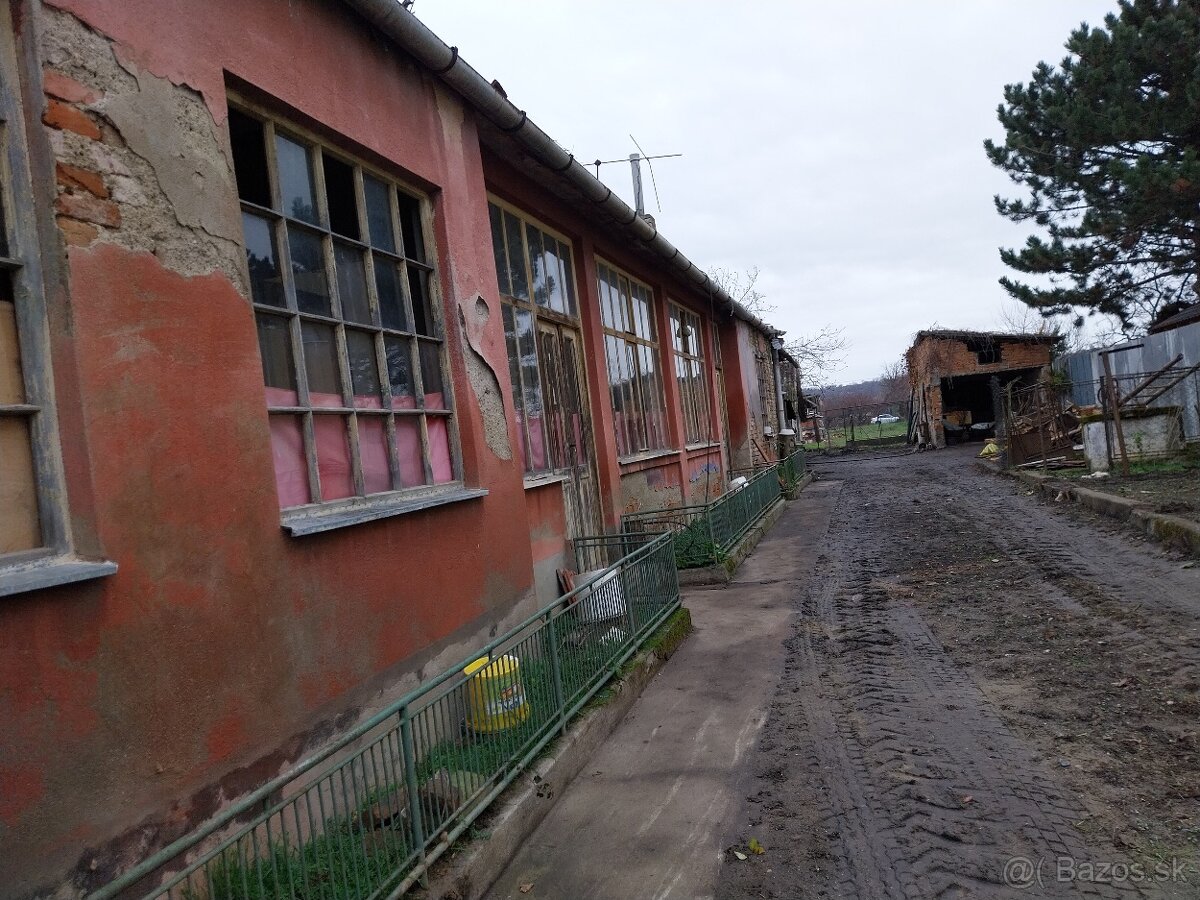 Predaj pozemku so starým domom-Čechynce - 3