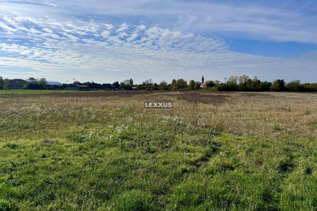 | EXKLUZÍVNE väčší stavebný pozemok na RD, RECA, Senec, 6547 - 3