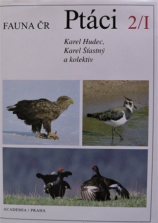 Mačky, psy, zvieratá, chov - 3