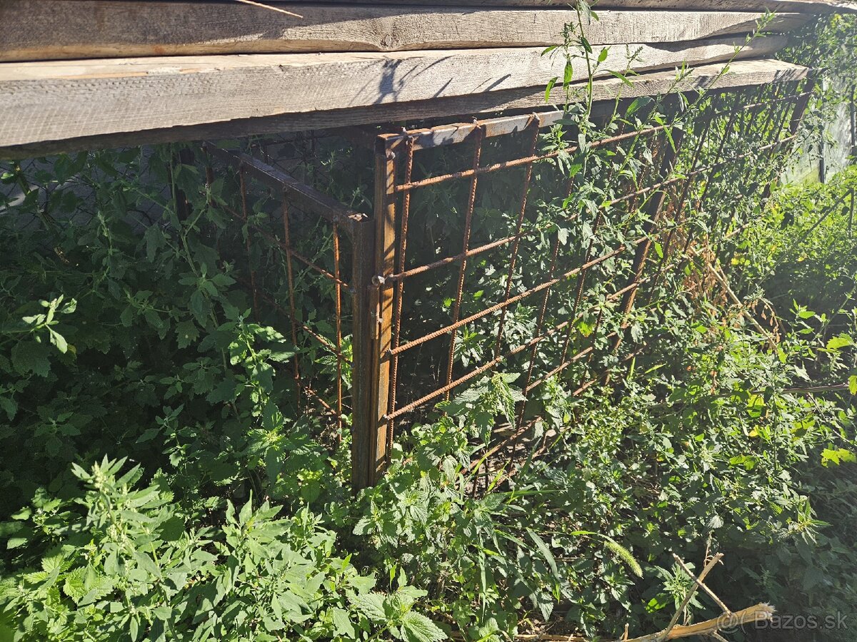 Klietka na prasa - 3