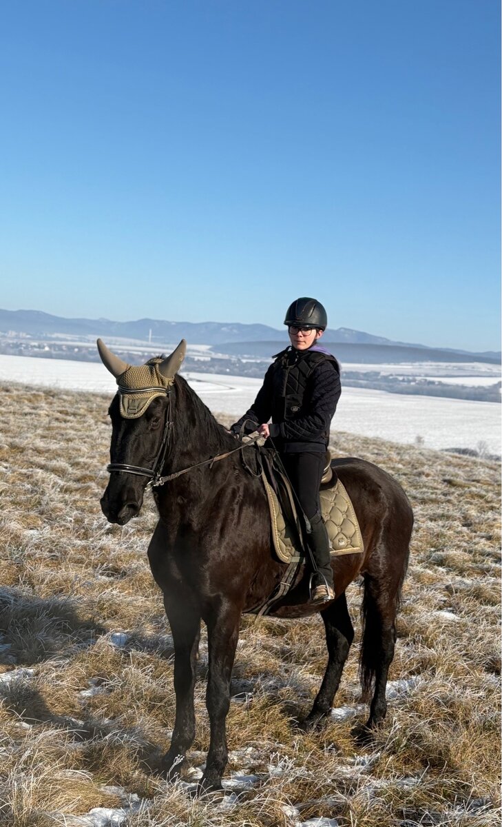 Kobyla s PP aj pre zaciatocnika - 3