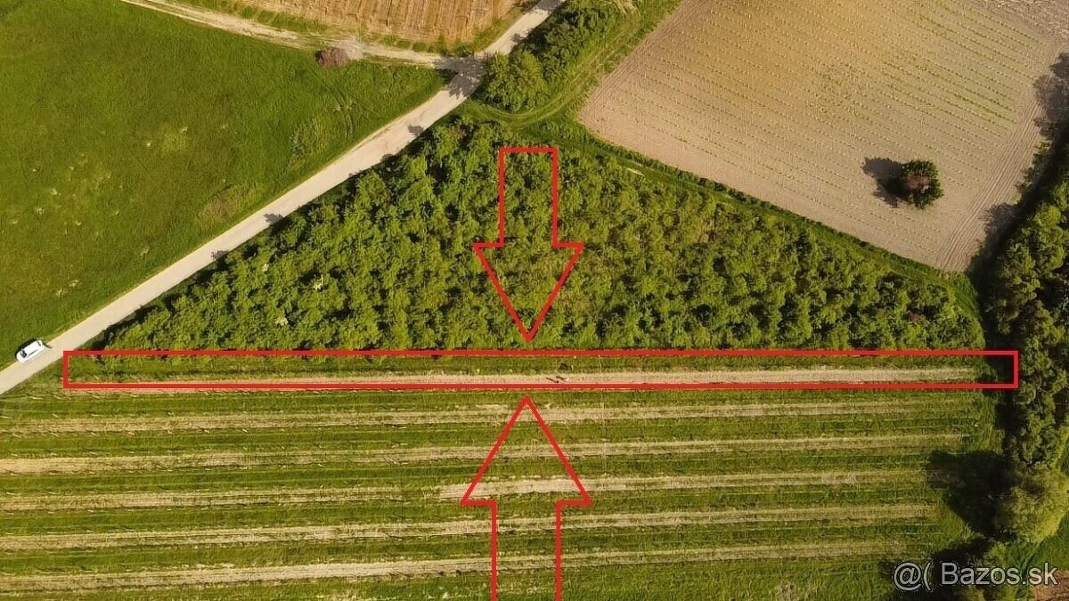 Pozemok pri Modre – s povolením pre mobilný dom - 3